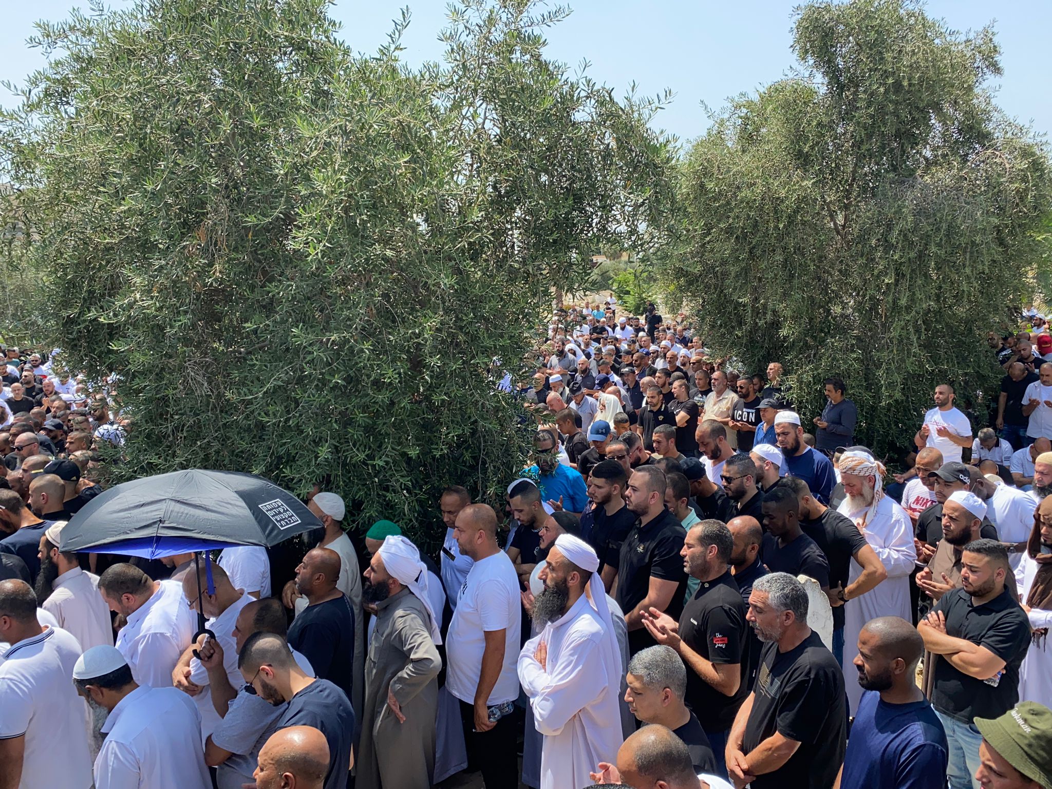 WhatsApp Image 2022-06-17 at 2.44.16 PM (1).jpeg